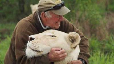 Известного защитника природы растерзали белые львицы, которых он вырастил - mur.tv - Юар