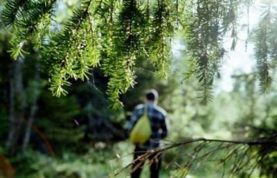 12 признаков того, что вы становитесь тем, кем должны быть - chert-poberi.ru