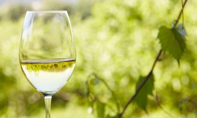 Зеленое вино: что такое Vinho Verde и почему оно такое редкое (у нас) - marieclaire.ru - Португалия
