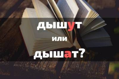 Тест: На какую оценку вы знаете русский язык? - lifehelper.one