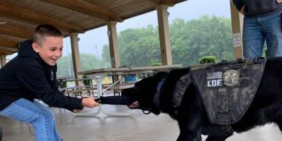 Девятилетний мальчик в США собрал более $300 тыс., чтобы закупить бронежилеты для собак - mur.tv - Сша - штат Огайо