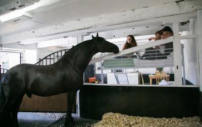 В Великобритании открылся отель с лошадьми - mur.tv - New York - Англия