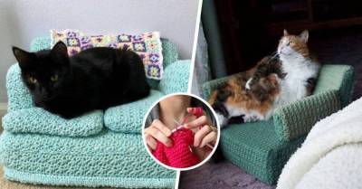 Карантин прошёл с пользой: хозяйки вяжут мини-диванчики и кресла для своих кошек - lifehelper.one