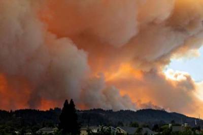 Самые крупные в истории Калифорнии лесные пожары не утихают вторую неделю - chert-poberi.ru - Сша - штат Калифорния