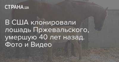 Курт Бениршке - В США клонировали лошадь Пржевальского, умершую 40 лет назад. Фото и Видео - mur.tv - Сша - Англия