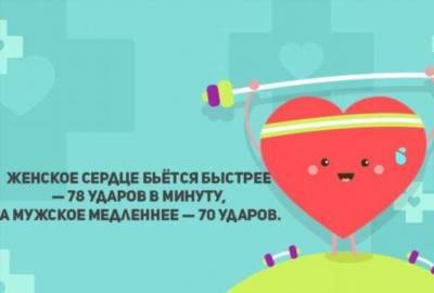 15 невероятных фактов о человеческом сердце, которые поразят вас - lublusebya.ru