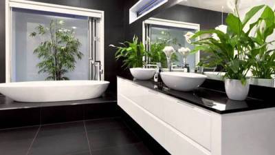 Какие растения посадить в ванной комнате - lifehelper.one