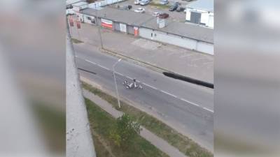“Просто вышла из маршрутки”: стая собак напала на женщину в Орле - mur.tv - Орел