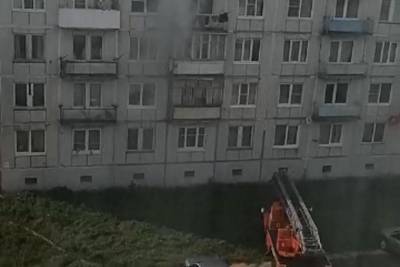 В Торжке пожарные спасли собаку, едва не задохнувшуюся в дыму - mur.tv