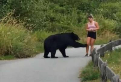 Медведь потрогал бегунью за ногу (1 фото + 1 видео) - chert-poberi.ru
