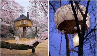 7 домиков на дереве, в которых хочется поселиться будучи взрослым - chert-poberi.ru - Индия