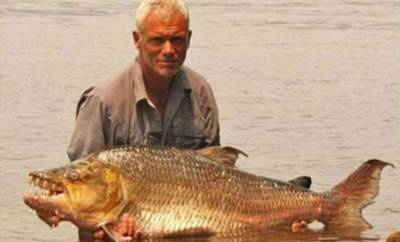 10 самых опасных рыб, обитающих в реках мира - chert-poberi.ru