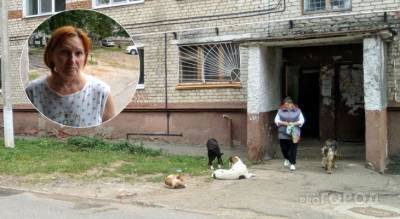 Чувашский город бродячих собак: стаи гуляют на детских площадках и шугают местных жителей - mur.tv - Новочебоксарск