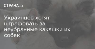 Украинцев хотят штрафовать за неубранные экскременты их собак - mur.tv