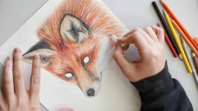 Самоучители по рисованию, с помощью которых можно стать настоящими художниками - polsov.com