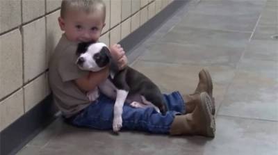 Как малыш с заячьей губой усыновил себе подобного щенка-спасителя - mur.tv - штат Мичиган