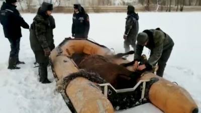 С острова в Казахстане спасли шесть лошадей. - mur.tv - Казахстан