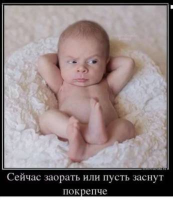 Фото малышей прикольные. Пуси пуси юмор. Подборка №milayaya-baby-41080927122020 - milayaya.ru