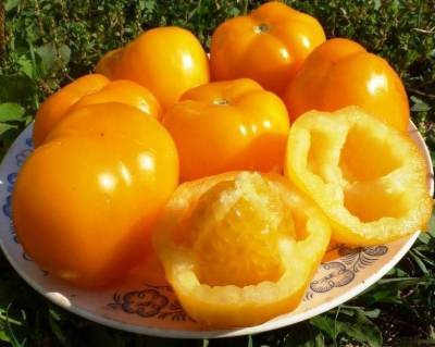 Сорта пустотелых томатов (для фаршировки) - sadogorod.club - Болгария - Днепропетровск