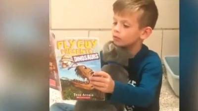 Невозможно поверить: чтение вслух успокаивает и детей, и питомцев - mur.tv