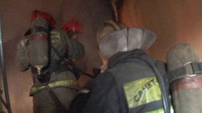 Стали известны подробности спасения ребенка и кошки при пожаре в Петербурге - mur.tv - Санкт-Петербург