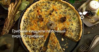 Грибной киш, или песочный пирог с грибами - sadogorod.club