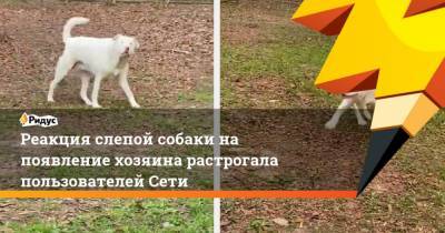 Реакция слепой собаки на появление хозяина растрогала пользователей Сети - mur.tv