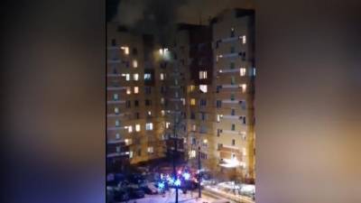В Сестрорецке при пожаре в квартире погибли четыре взрослые собаки и 17 щенков - mur.tv