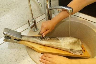 4 варианта, как быстро почистить рыбу, чтобы чешуя не летела во все стороны - lifehelper.one