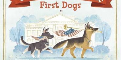 Джон Байден - У одной из собак Джо Байдена будет своя инаугаврация это первый пес, попавший в Белый дом из приюта - mur.tv - Сша - state Delaware