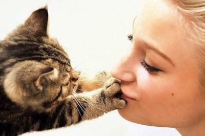 Японские ученые доказали: кошки понимают человеческую речь - mur.tv - Япония