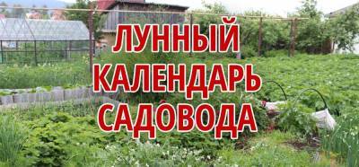 Лунно-посевной календарь на июль 2021 года садовода и огородника по луне в таблице - sadogorod.club