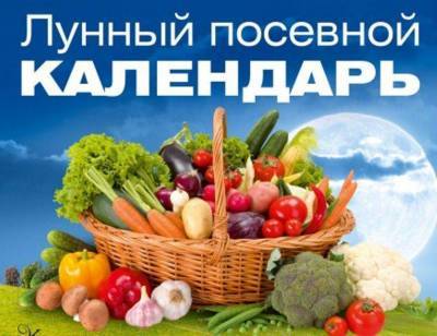 Лунный посевной календарь на февраль 2021 года садовода и огородника - sadogorod.club