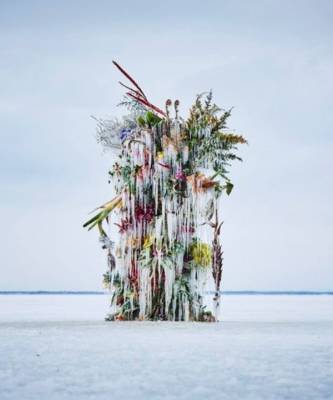 Инсталляция из замороженных цветов на Хоккайдо - elle.ru - Япония