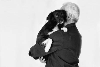 Я и мой пёс: план действий на случай заболевания COVID-19 - mur.tv