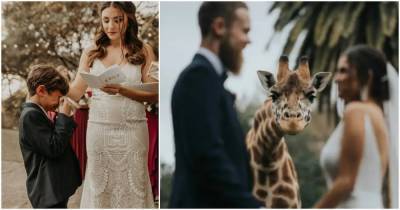 27 ярких свадебных фотографий из непростого 2020 года - cpykami.ru - штат Калифорния - Шотландия - штат Нью-Мексико
