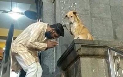 В Индии собака “благословляет” посетителей храма - mur.tv - Индия - Мумбаи