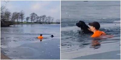 Спортсмен спас собаку, которая тонула в озере - mur.tv - Англия