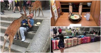 18 фото из повседневной жизни в Японии. Некоторые вещи действительно сложно понять - cpykami.ru - Япония
