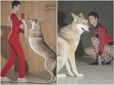 Vogue Italia посвятил номер красоте животных - mur.tv - Италия