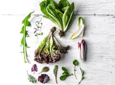 10 видов зеленого салата и 6 потрясающе простых рецептов с ним - marieclaire.ru