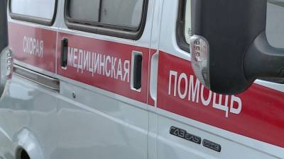 Мужчину проломил голову соседу, чья собака разбудила его ребенка - mur.tv - Россия - Новосибирск