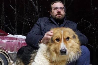 Глава Иванова Владимир Шарыпов приютил бездомную собаку - mur.tv