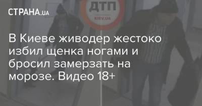 В Киеве живодер жестоко избил щенка ногами и бросил замерзать на морозе. Видео 18+ - mur.tv - Киев - Львов