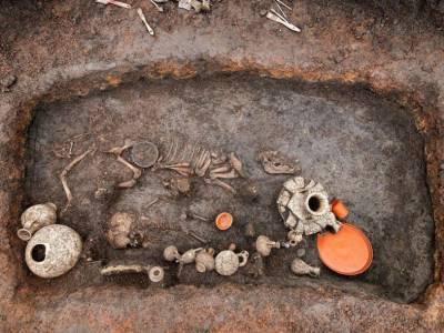 В детском погребении I века обнаружили кости щенка - mur.tv - Франция