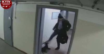 Пинал ногами, как футбольный мяч: в Киеве мужчина жестоко избил и выбросил щенка (видео 18+) - mur.tv - Киев