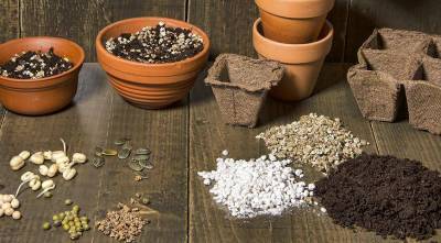 Применение перлита и вермикулита для улучшения качества грунта для посева семян на рассаду и пересадки комнатных растений - sadogorod.club
