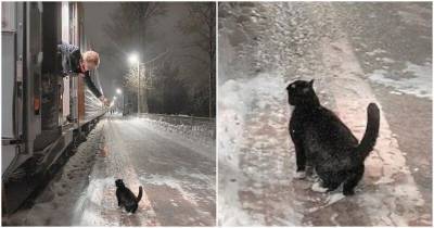 Дмитрий Марков - Каждый день, в одно и то же время, черно-белый котик ждет поезд на перроне - mur.tv - Россия