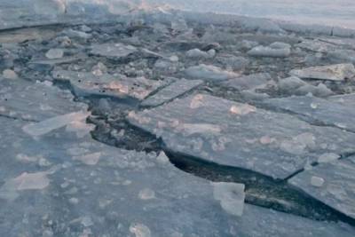 В Киеве пара с собакой провалилась под лед на озере: фото - mur.tv - Киев