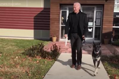Джон Байден - “Первая собака США”: псу Байдена устроили виртуальную инаугурацию - mur.tv - Сша - state Delaware